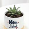 Buy Mother's Day Personalized Haworthia Plant with Pot