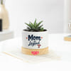 Shop Mother's Day Personalized Haworthia Plant with Pot