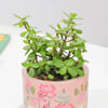 Buy Mother's Day Personalized Jade Plant and Candle Gift Set