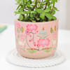 Shop Mother's Day Personalized Jade Plant and Candle Gift Set