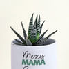 Buy Mothers Day Glorious Haworthia With Planter