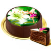 Motif Cake Fairy Online