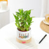 Shop Mummy's Lucky Bamboo Plant with Pot