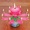 Musical Flower Candle Online