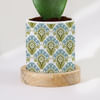 Buy Nature's Artistry - Hoya Heart Plant With Pot