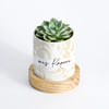 Nature's Gem - Echeveria Succulent With Pot - Personalized Online