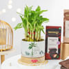Gift Natures Indulgence Gift Hamper