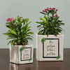 New Year Ceramic Planters
