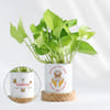 New Year Mantra - Money Plant With Personalized Pot Online