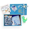 Newborn Baby Boy Essentials Hamper- Blue Online