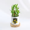 No. 1 Boss - 2 Layer Bamboo Plant With Planter Online