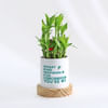 No.1 Teacher - Bamboo Plant With Personalized Planter Online