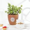 Gift Om And Blessings Rakhi Gift Combo