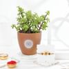 Om And Blessings Rakhi Gift Combo Online