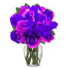 One Dozen Cosmic Roses Online