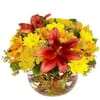 Orange Alstroemeria, Burgundy Lilies & Yellow Daisies Vase Online