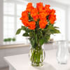 Orange Fairtrade roses in a bunch Online