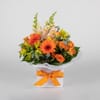 Orange Zest Posy