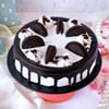Gift Orchids in Jute Wrapping Ribbon Bouquet with Oreo Cake (Half Kg)