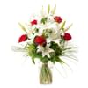 Orphee Online