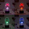Shop Our Love Personalized LED Lamp