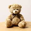 Ourson