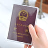 Gift Passport - Transparent - Single Piece