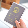 Passport - Transparent - Single Piece Online
