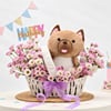Gift Pawfect Birthday Hamper