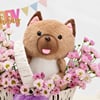 Buy Pawfect Birthday Hamper