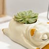 Shop Peaceful Succulent & Pup-Shaped Planter Gift