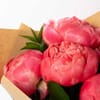 Gift Peony Bouquet - 5 Stems