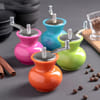 Pepper Grinder - Assorted -Single Piece Online