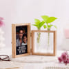Gift Personalised Photo Frame with Money Plant for Father's Day