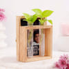 Shop Personalised Photo Frame with Money Plant for Father's Day