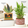 Gift Personalized 2-in-1 Frame & Magnet with Planter Diwali Combo