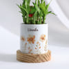 Buy Personalized Bamboo Plant for Good Luck
