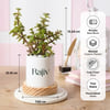 Gift Personalized Blooming with Bappa Jade Plant