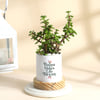 Buy Personalized Blooming with Bappa Jade Plant