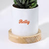 Buy Personalized Brewing Joy Zebra Plant