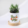 Shop Personalized Brewing Joy Zebra Plant