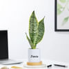 Gift Personalized Ceramic Dog Planter With Snake Plant