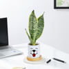 Buy Personalized Ceramic Dog Planter With Snake Plant