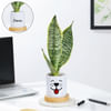 Personalized Ceramic Dog Planter With Snake Plant