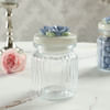 Shop Personalized Ceramic Dragee Jars