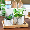 Gift Personalized Ceramic Planter Set