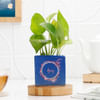 Buy Personalized Ceramic Planters