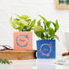 Personalized Ceramic Planters Online