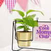 Buy Personalized Cool Mom Swing Planter for Mother's Day
