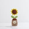 Shop Personalized Crochet Sunflower